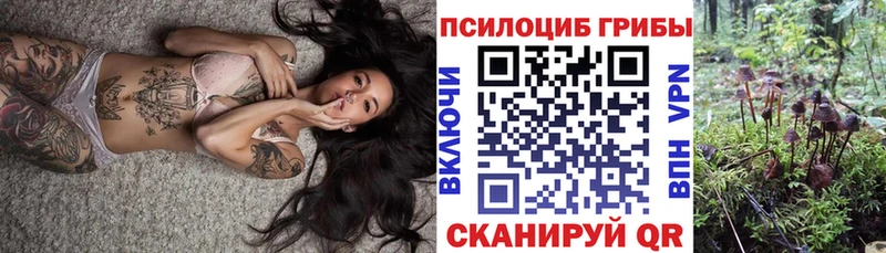 купить наркоту  Николаевск-на-Амуре  Галлюциногенные грибы мухоморы 